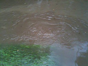 Storm Sewer billowing water