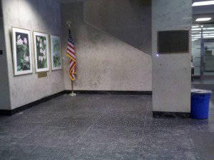 IMG_20120213_091412