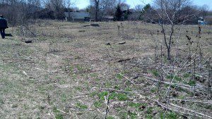 IMG_20130424_131730_072