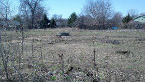 IMG_20130424_131912_628