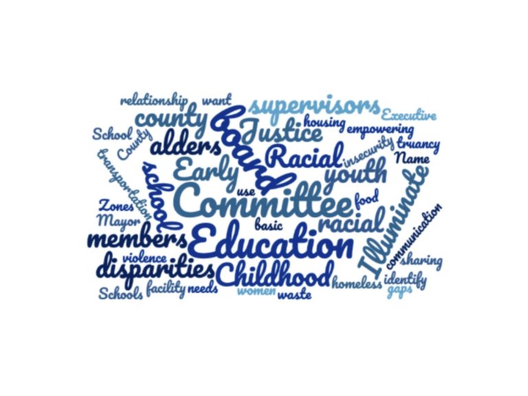 What should the Madison Education Committee work on?
