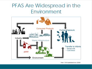 PFAS routes of exposures
