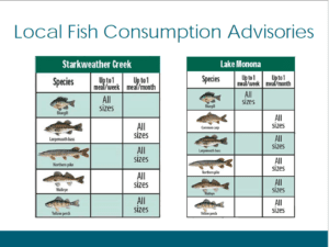 Starkewather Creek and Lake Monona fish consumption advisories