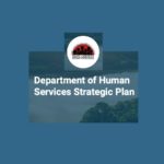 dane county human services planning vision next
