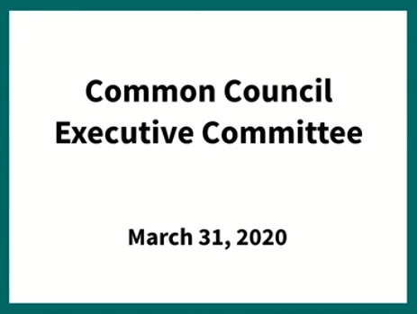 Common Council Executive Committee Recap 3-31-20