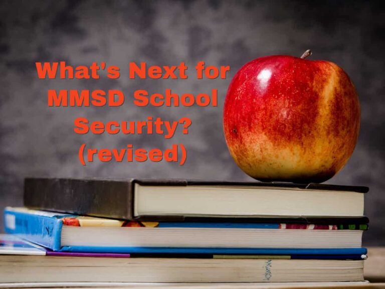 Updated Plan for Ad Hoc Schools Security Committee
